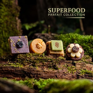 Superfood Parfait Kollektion Quadrat Gesunder Geschenkkorb Energie Superfood & Nüsse Laumière Gourmet Früchte Ohne Zuckerzusatz Glutenfrei Bild 3