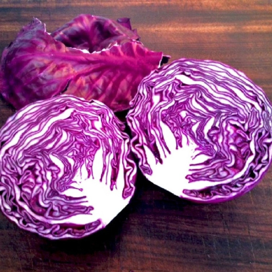 Red Cabbage Red Drumhead Vegetable 400 Seeds Etsy