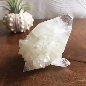 Top Quality Natural Beautiful Clear Shiny Apophyllite Crystal Cluster