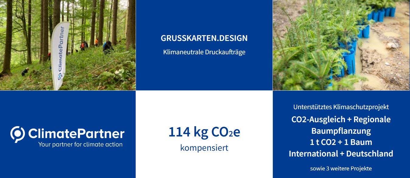 RXBC2011 Dankeskarten – Blaugrünes Design, 50 Stück, 10,2x15,2 Cm, Perfekt Für Kleine Unternehmen
