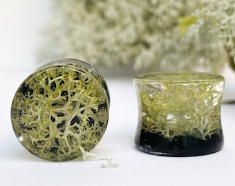 Handmade Moss Ear Plugs: Black BIO Resin Gauges