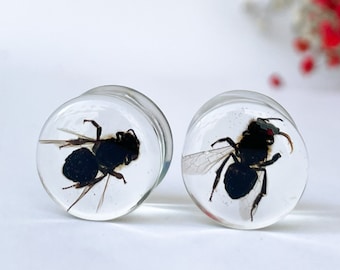 Véritable bouchon d'abeille, vrai bouchon d'insecte, bouchon de mouche, jauge d'abeille, cadeau pour tous, jauges d'insectes intéressantes, jauges d'insectes uniques, jauges de mouches