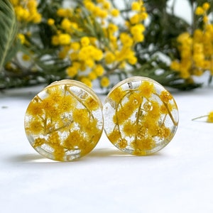 Mimosa tree flower transparent plugs, Yellow gauges, Natural gauges tunnels Real flower transparent ear plugs  Ear tunnels  Bio Base Gauges