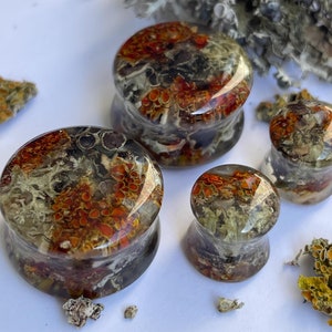 Natürliche Moos Pilz Ohr Gauges: BIO BASIERTE Resin Tunnel