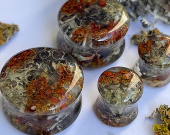 Natural Moss Mushroom Ear Gauges: BIO BASED Resin Tunnels