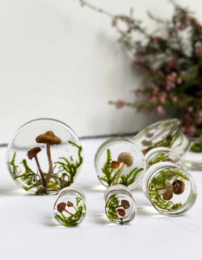 Natural moss mushroom gauges, real plug, mushroom plug, Real mushroom plugs, mushroom tunnels image 8