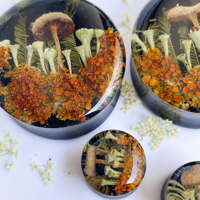 May include: Close-up of a pair of resin ear gauges with a forest scene. The gauges feature mushrooms, moss, and other forest elements in shades of green, brown, and orange.