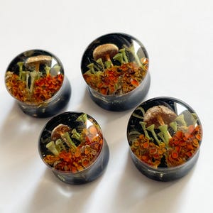 May include: Four black resin ear gauges with orange and green mushroom and flower designs.