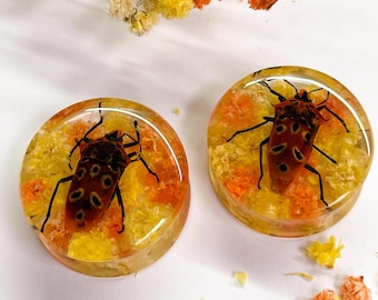 Expansores de resina hechos a mano con forma de escarabajo moteado – Flores secas, dilatadores de oreja