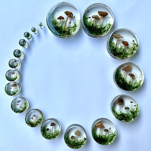 Natural moss mushroom gauges, real plug, mushroom plug, Real mushroom plugs, mushroom tunnels image 3