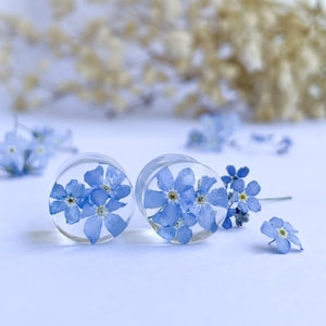 Tapones para los oídos con forma de flor de nomeolvides: túneles de resina biológica