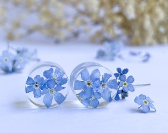 Real Forget-Me-Not Flower Ear Plugs: Bio Resin Tunnels ear gauges