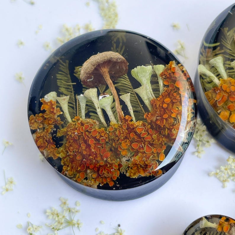 May include: A pair of round, black resin ear gauges with a mushroom and orange lichen design. The gauges are filled with clear resin and have a glossy finish.