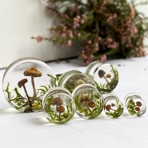 Natural moss mushroom gauges, real plug, mushroom plug, Real mushroom plugs, mushroom tunnels image 1