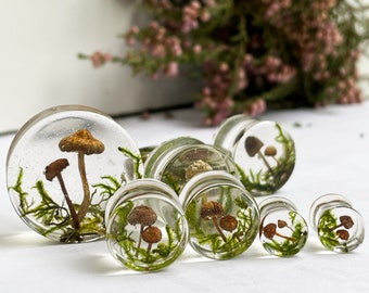 Natural moss mushroom gauges, real plug, mushroom plug, Real mushroom plugs, mushroom tunnels