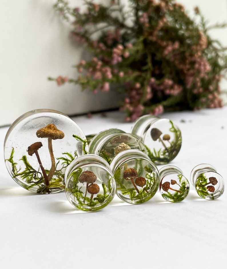 Natural moss mushroom gauges, real plug, mushroom plug, Real mushroom plugs, mushroom tunnels image 1