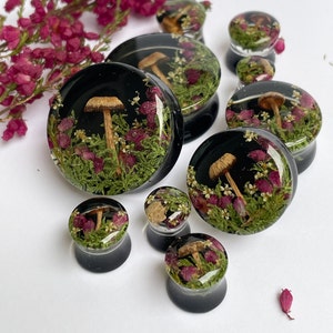 Natural moss, flower and mushroom gauges with black background, real plug, mushroom plug, Real mushroom plugs, mushroom tunnels.