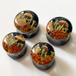 May include: Four round resin ear gauges with a black background and a clear resin dome. The dome contains a cluster of orange and brown mushrooms with green stems.