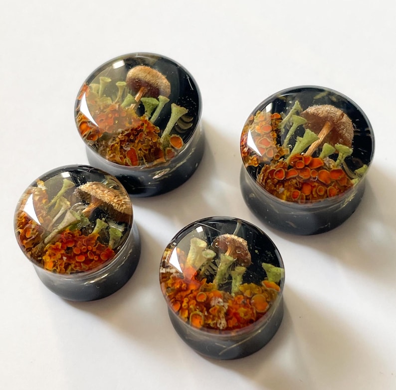 May include: Four round resin ear gauges with a black background and a clear resin dome. The dome contains a cluster of orange and brown mushrooms with green stems.