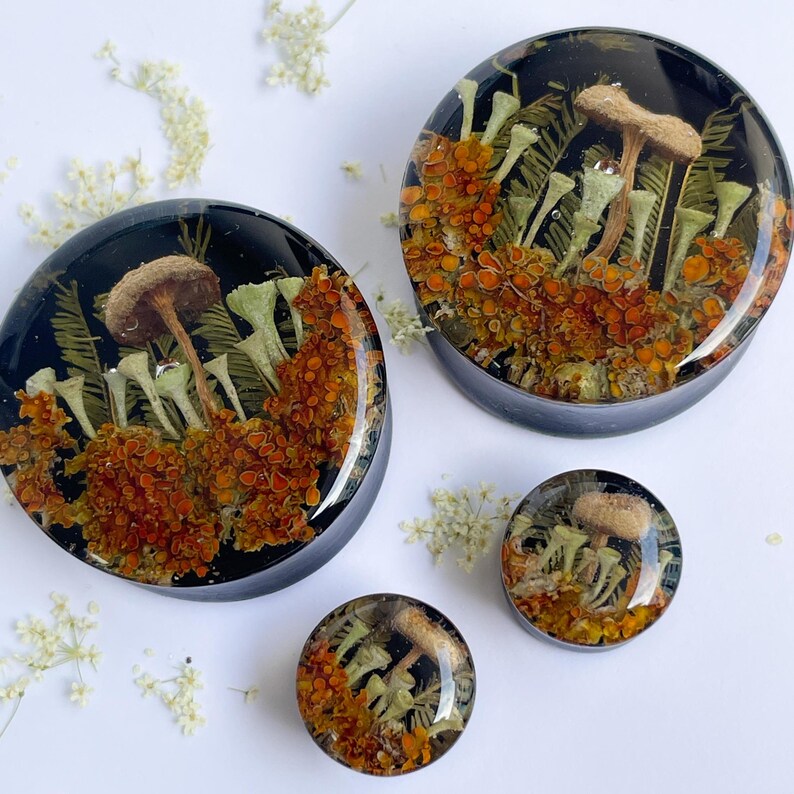 May include: Three round resin plugs with a forest scene featuring mushrooms and orange lichen. The plugs are different sizes.