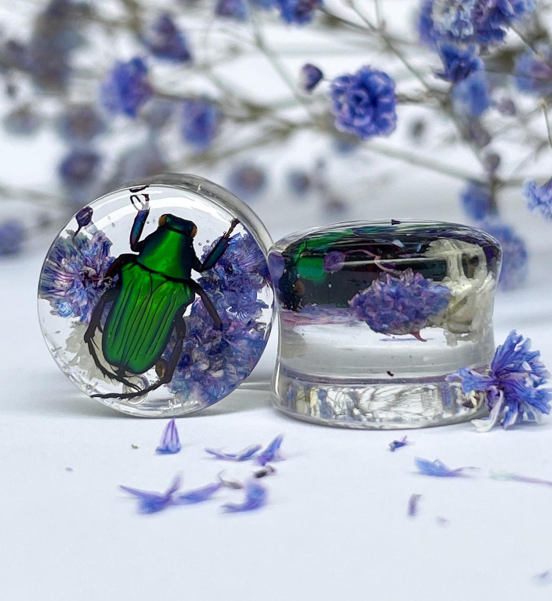 REAL Green Scarab Beetles Gauge With Purple Flowers, Insect Tunnel, Bug