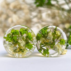 Green and Light Yellow flower plugs, Real flower transparent ear plugs, Ear tunnels, Bio base Gauges, Gift for all, summer spring vibes