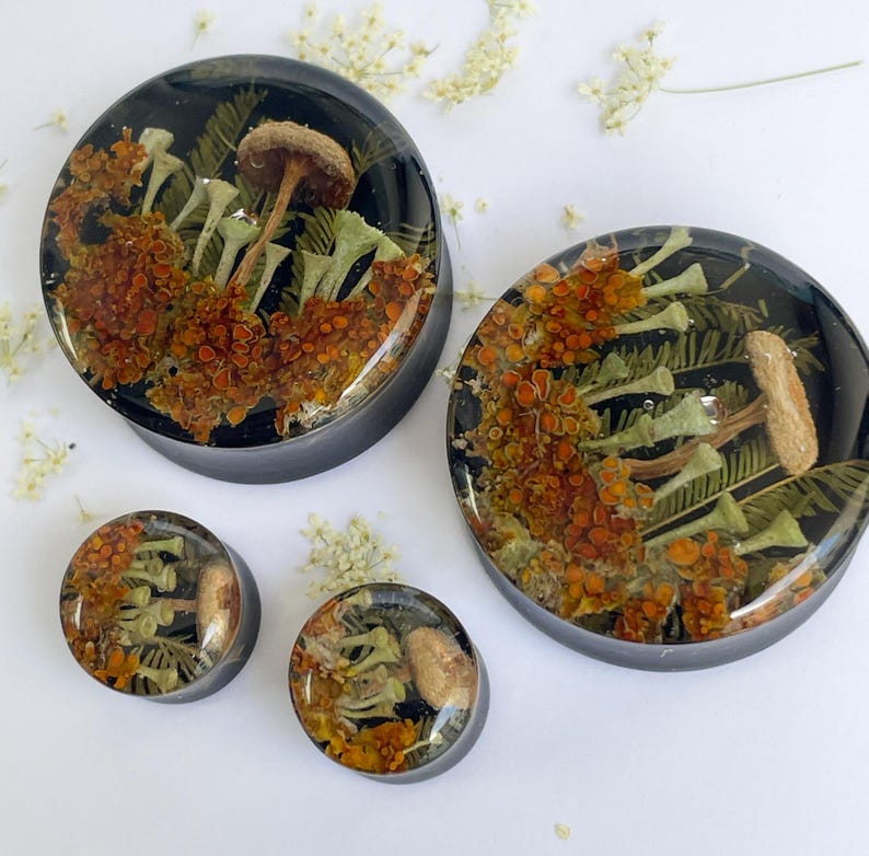 May include: Set of four resin ear gauges featuring pressed dried flowers and mushrooms. The gauges are in various sizes and feature a black background.