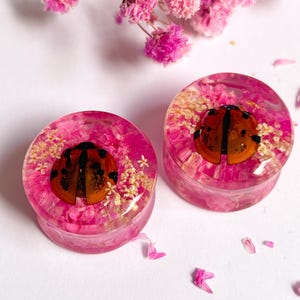 May include: Two round, pink resin plugs with a ladybug design. The plugs are filled with pink flowers and small white flowers. The ladybugs are orange and black. Pink flower petals are scattered around the plugs.