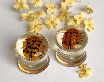 Real Bug Plugs & Nature Jewellery, Handmade Bio Resin Insect Gauges