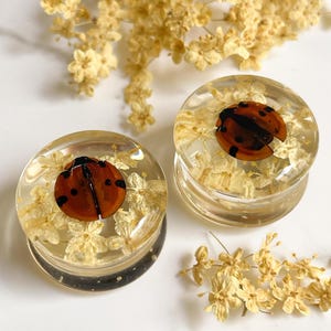 May include: Two clear resin ear gauges with a ladybug design. The ladybugs are red and black, and are surrounded by small, dried, yellow flowers. The gauges are circular and have a flat back.
