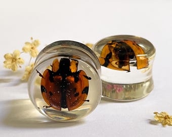 Grandes dilatadores de resina con forma de mariquita – Auténticos dilatadores de insectos hechos a mano para orejas dilatadas