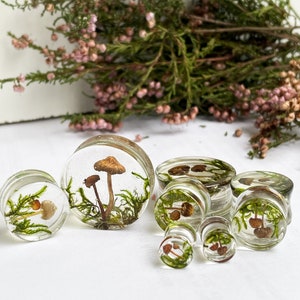 Natural moss mushroom gauges, real plug, mushroom plug, Real mushroom plugs, mushroom tunnels image 9