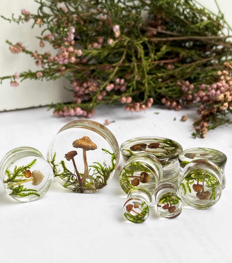 Natural moss mushroom gauges, real plug, mushroom plug, Real mushroom plugs, mushroom tunnels image 9