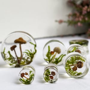 Natural moss mushroom gauges, real plug, mushroom plug, Real mushroom plugs, mushroom tunnels image 7