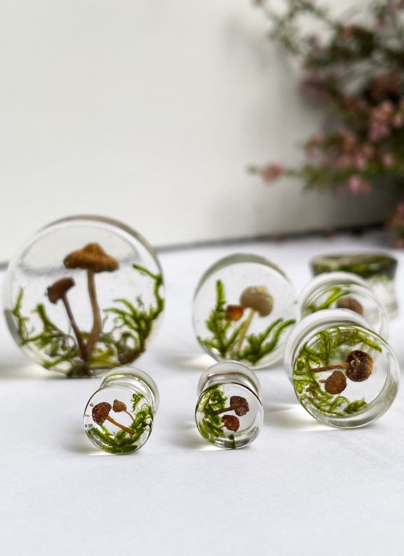 Natural moss mushroom gauges, real plug, mushroom plug, Real mushroom plugs, mushroom tunnels image 7