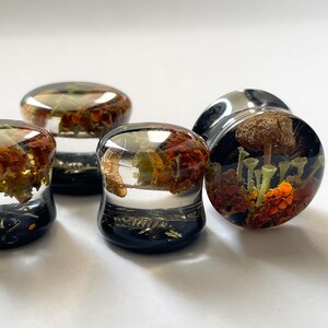 May include: Four clear glass ear gauges with black bases and a variety of dried flowers and mushrooms encased in resin. The gauges are arranged in a row on a white surface.