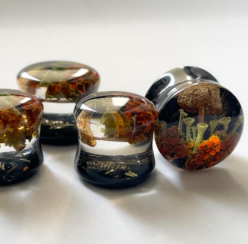 May include: Four clear glass ear gauges with black bases and a variety of dried flowers and mushrooms encased in resin. The gauges are arranged in a row on a white surface.