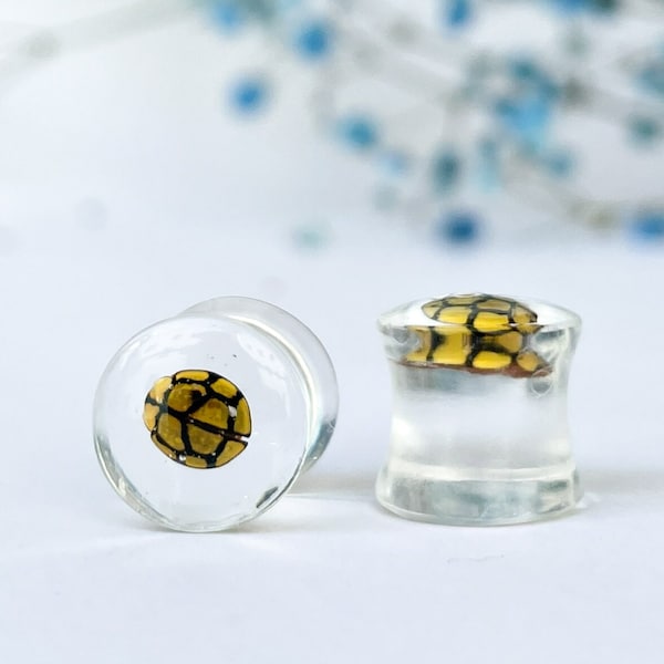 Real Bug Ear Gauges Etsy