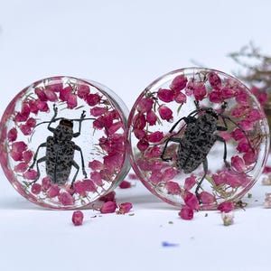Real Heather with beetles plugs gauge, insect gauges, Ear Plugs, unique bug tunnels, insect plug, wedding  gauges. Gift for her him.
