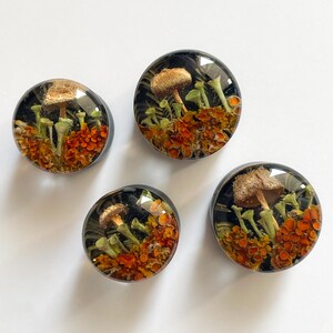 Puede incluir: Cuatro pendientes redondos de resina con fondo negro y un diseño de pequeñas setas naranjas y marrones con tallos verdes.