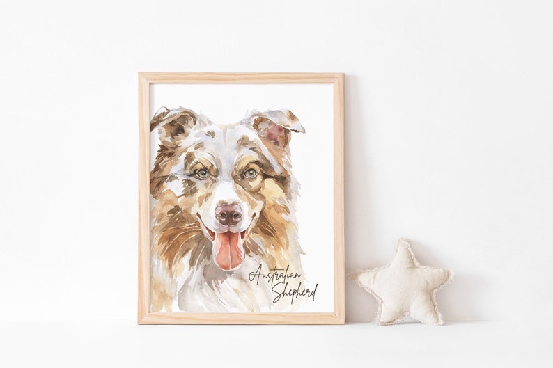 Australian Shepherd Wall Art Dog Portrait Animal Neutral Etsy