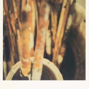 Cy Twombly, Original Exhibition Museum Poster