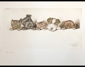 ボリス・オクライン作『パリの汚い犬たち』。オリジナル・サイン入り