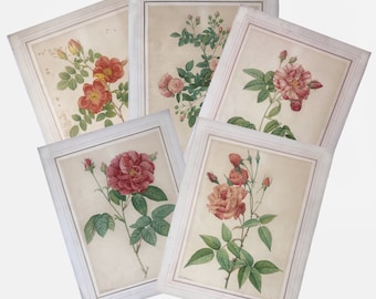 Pierre-Joseph Redouté, Set of 5 Antique Lithographs, Mourlot Lith