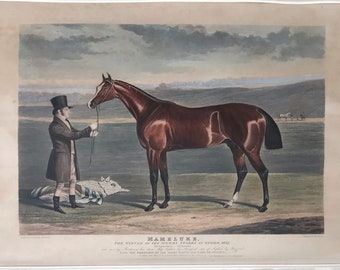Mameluke - Winner of the 1827 Epsom Derby, Aquatint by R.G. Reeve after J.F. Herring Sr., Hand-Colored, Framed Antique Sporting Print