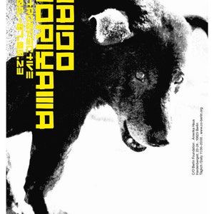il_300x300.5033254877_s9ca.jpg