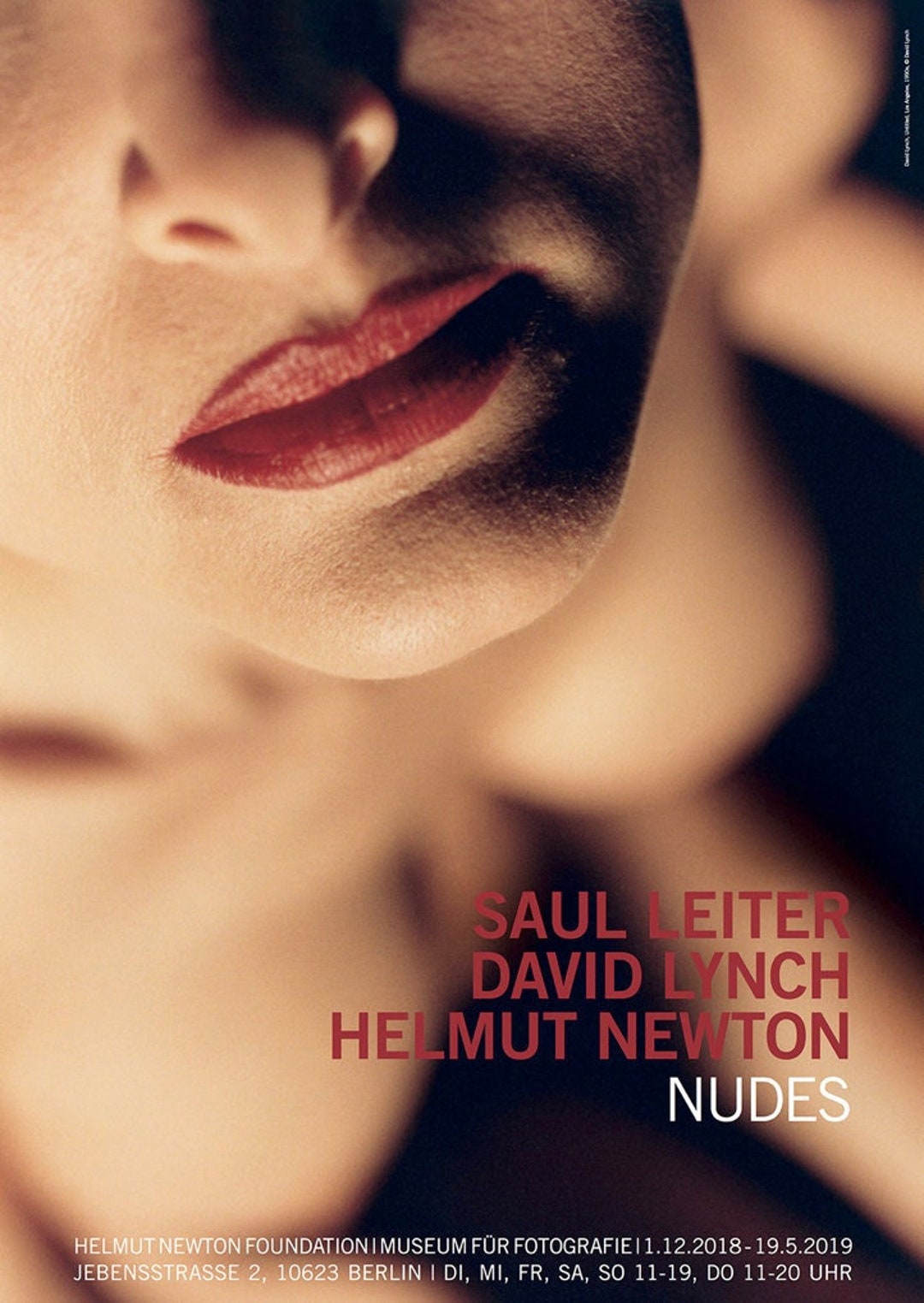 Helmut Newton Akt Original Ausstellung Museum Poster - Etsy.de