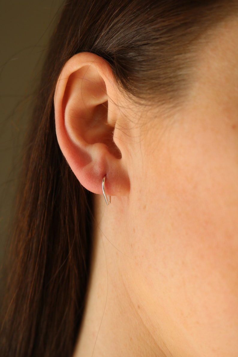 Horseshoe Earrings