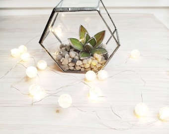 Stained Glass Succulent Terrarium, green plant suncatcher, Geometric Planter