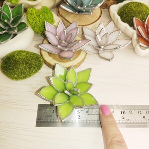 May include: A close-up of a green stained glass succulent with a ruler measuring 2 inches in length. The succulent is on a white surface with other stained glass succulents in the background.